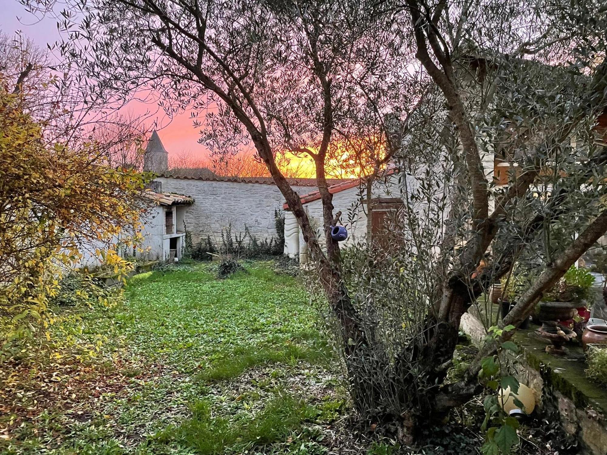 Sous L Olivier Daire Tusson Oda fotoğraf